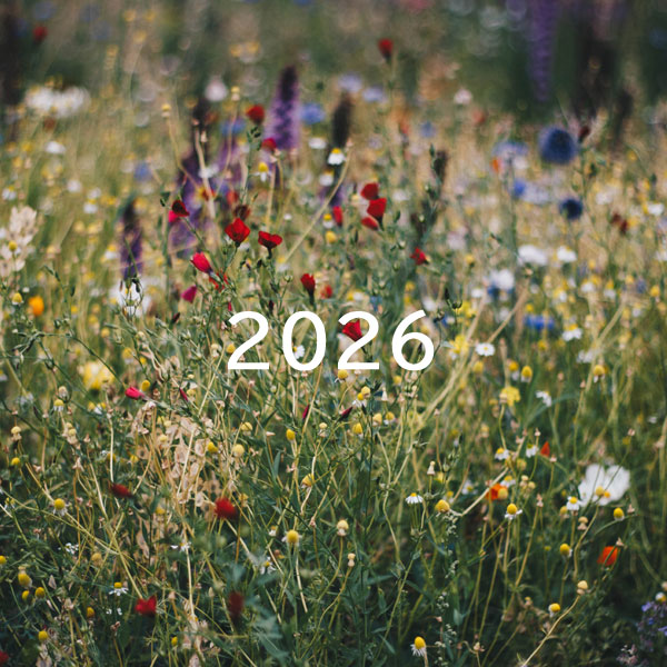 新年のご挨拶と営業再開のお知らせ